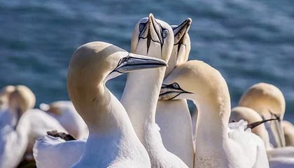 重庆高价上海医保提取2025的最新政策(2025年重庆上海医保怎么提取现金分享)