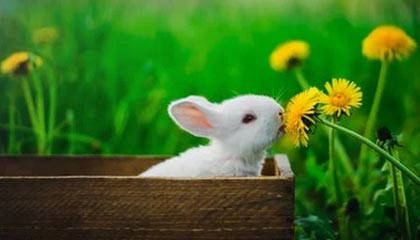 重庆高价上海医保提取2025的最新政策(2025年重庆上海医保怎么提取现金分享)